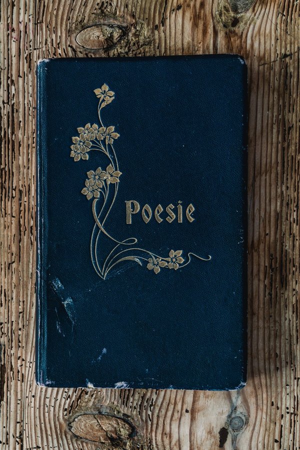 Quelle est la place de la poésie dans la chanson française contemporaine ?